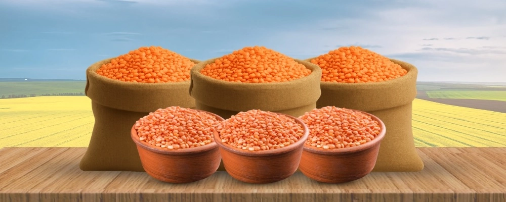 lentils-banner
