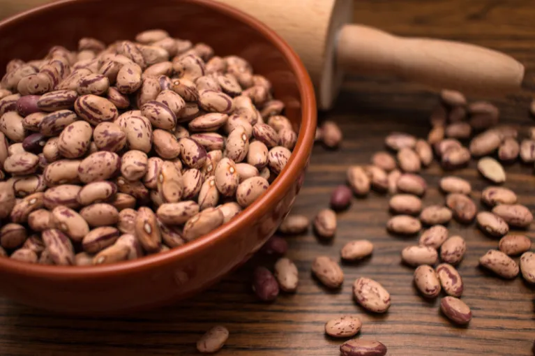 Light Speckled Kidney Beans