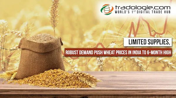 Limited Supplies, Robust Demand Push Wheat Prices In India To 6-Month High