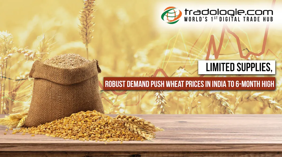 Limited Supplies, Robust Demand Push Wheat Prices In India To 6-Month High