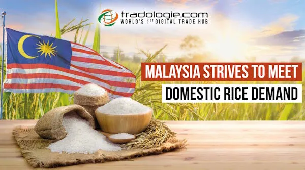 Malaysia Strives to Meet Domestic Rice Demand
