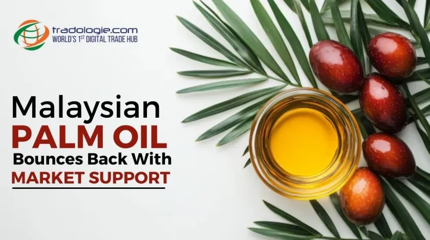 Malaysian Palm Oil Bounces Back With Market Support Malaysian Palm Oil Bounces Back With Market Support