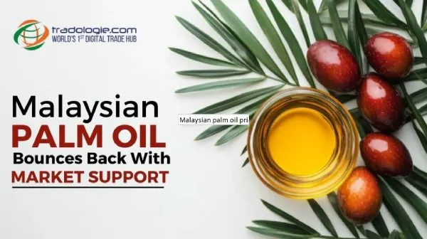 Malaysian Palm Oil Bounces