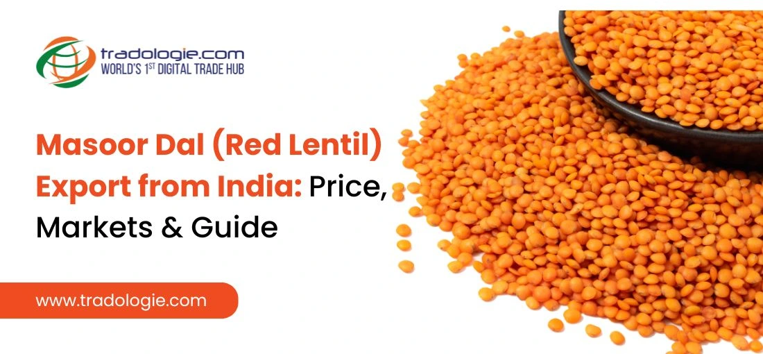 Masoor Dal (Red Lentil) Export from India: Price, Markets & Comprehensive Trade Guide