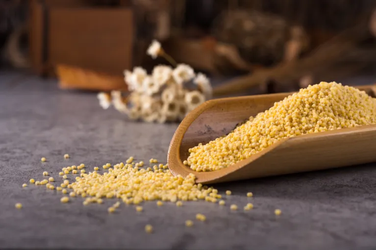 Yellow Millet Premium