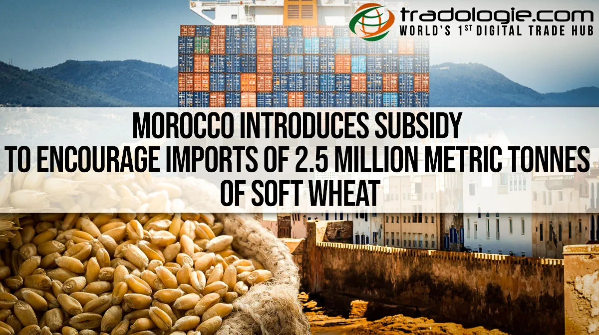 Morocco Introduces Subsidy To Encourage Imports Of 2.5 Million Metric Tonnes Of Soft Wheat