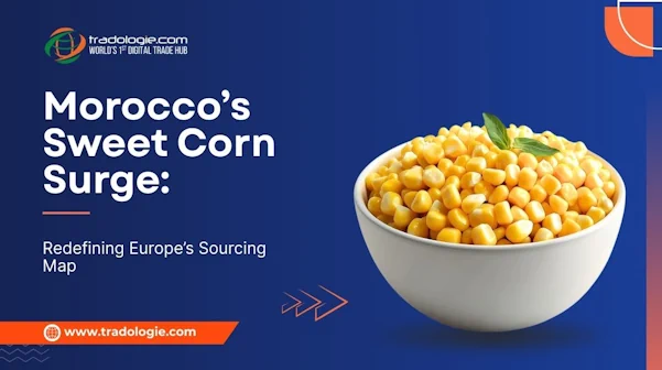 morocco-sweet-corn-surge