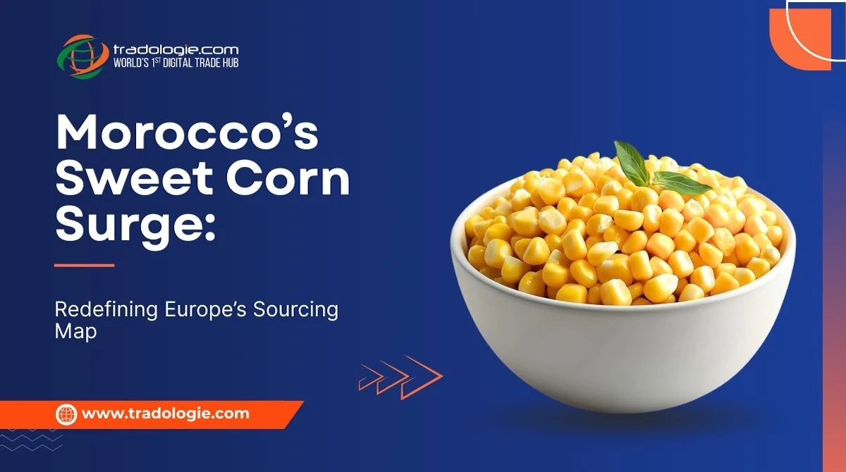 Morocco’s Sweet Corn Surge: Redefining Europe’s Sourcing Map