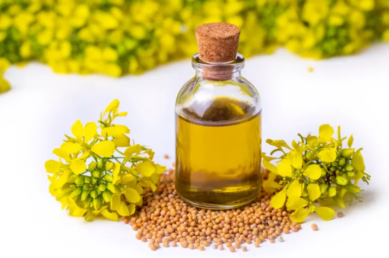 Mustard Oil