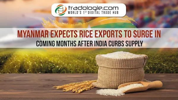 Myanmar Expects Rice Exports To Surge In Coming Months After India Curbs Supply
