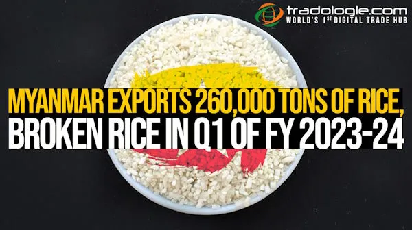 Myanmar Exports 260,000 Tons Of Rice, Broken Rice In Q1 Of FY 2023-24