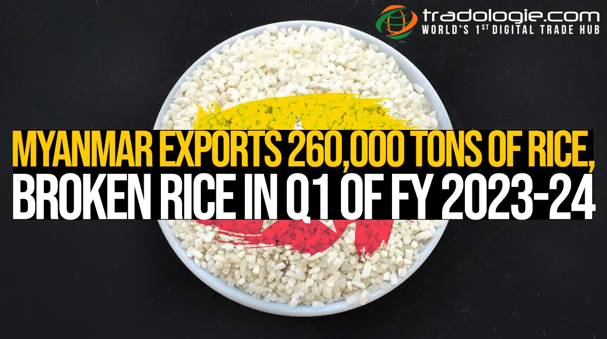 Myanmar Exports 260,000 Tons Of Rice, Broken Rice In Q1 Of FY 2023-24 Myanmar Exports 260,000 Tons Of Rice, Broken Rice In Q1 Of FY 2023-24