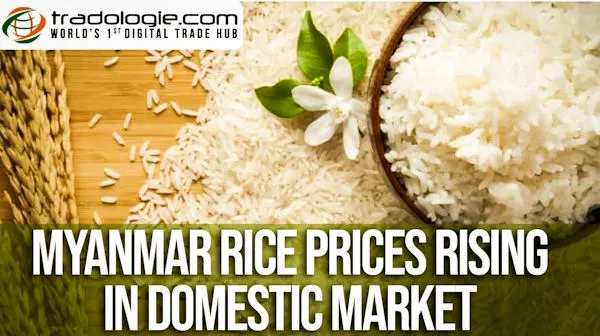 Myanmar Rice Prices Rising In Domestic Market