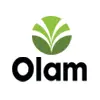 olam