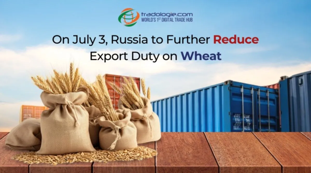 On July 3, Russia to Further Reduce Export Duty on Wheat