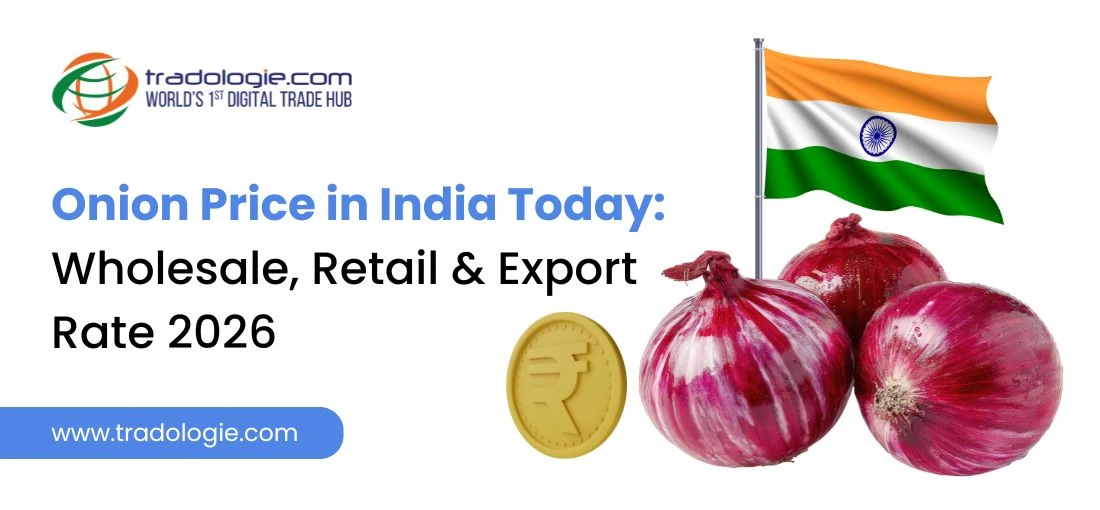 India Onion Wholesale Market Analysis 2026