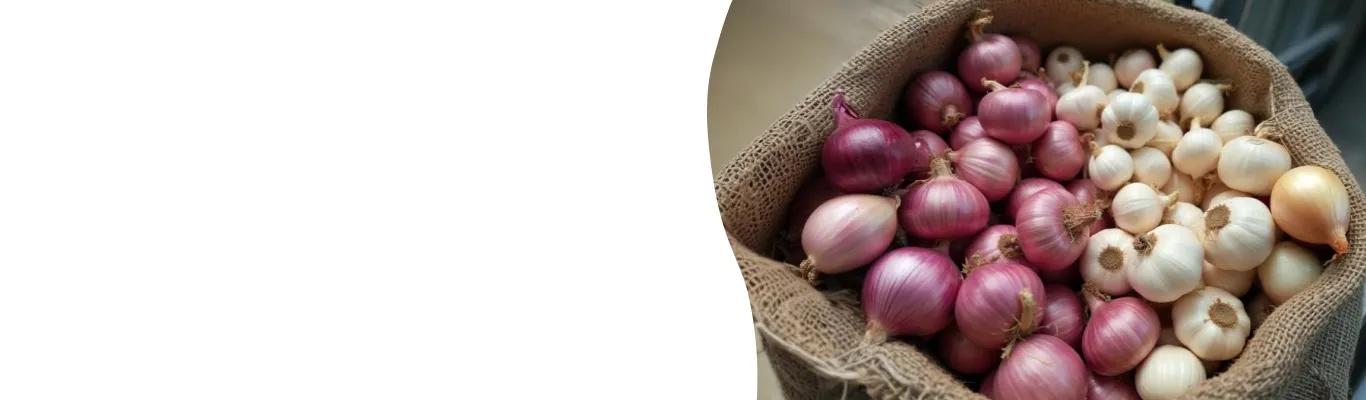 RVC International Banner