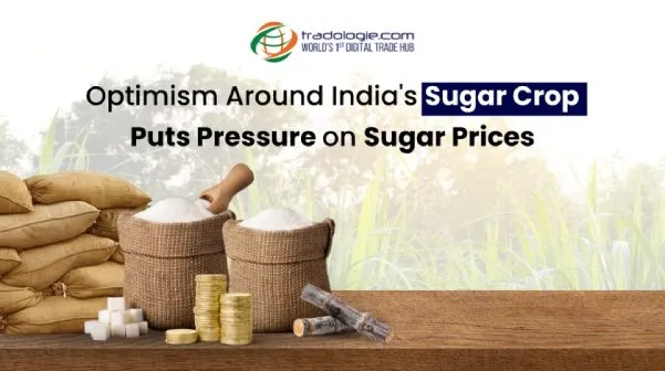 Optimism Around India's Sugar Crop Puts Pressure on Sugar Prices