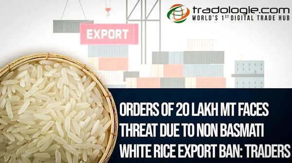Orders Of 20 Lakh MT Faces Threat Due To Non Basmati White Rice Export Ban: Traders