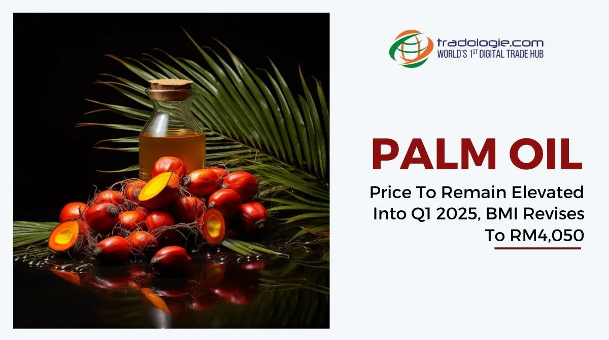 Palm Oil Price To Remain Elevated Into Q1 2025, BMI Revises To RM4,050 Palm Oil Price To Remain Elevated Into Q1 2025, BMI Revises To RM4,050