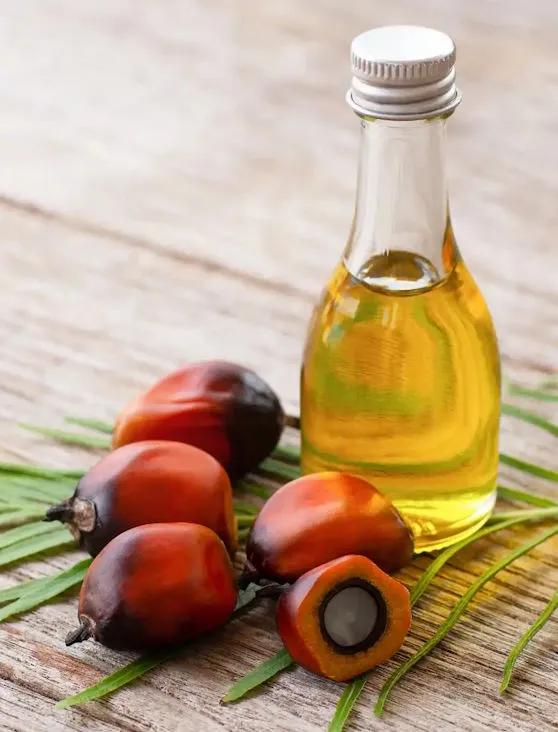 Palm Oil
