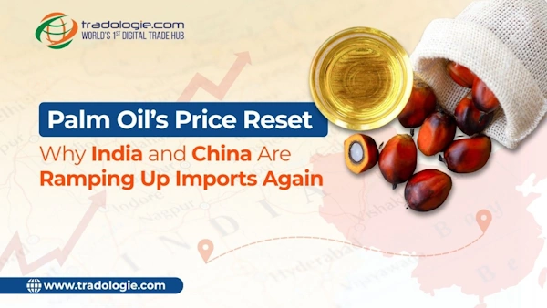 Palm Oil’s Price Reset: Why India and China Are Ramping Up Imports Again