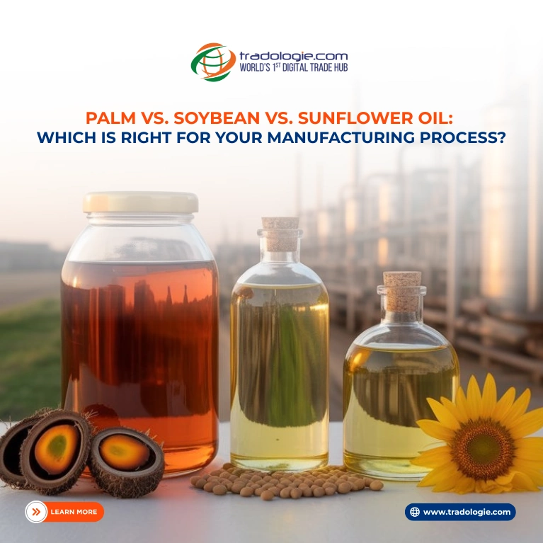 Palm vs. Soybean vs. Sunflower Oil: Which is Right for Your Manufacturing or HORECA Business?