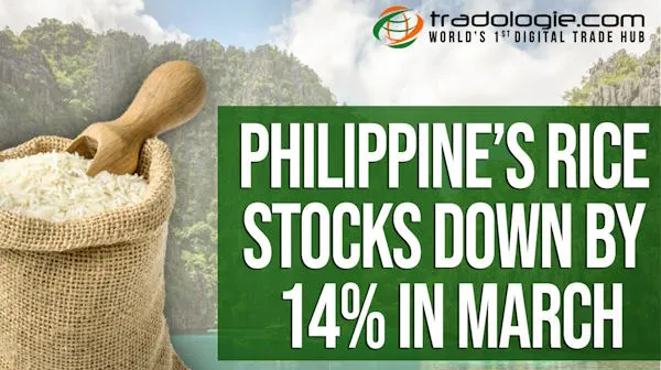 Philippine’s Rice Stocks Down By 14% In March