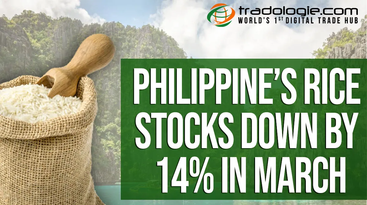 Philippine’s Rice Stocks Down By 14% In March