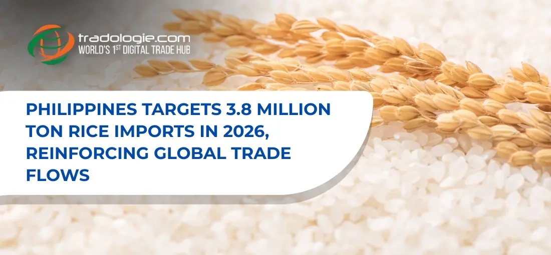Bulk Rice Importers Philippines: 2026 Trade Outlook