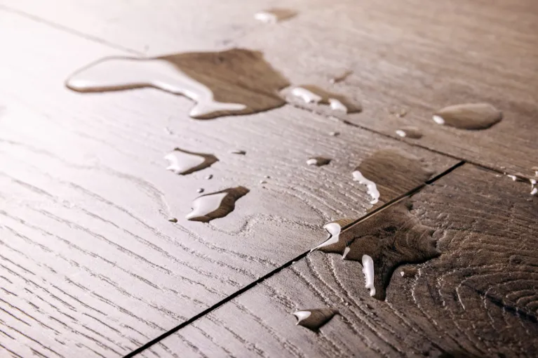 Plywood Waterproof