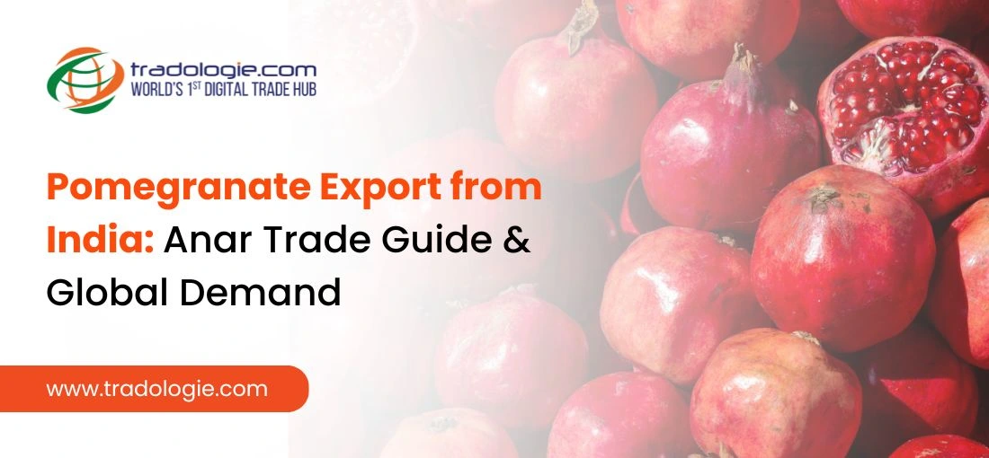 Pomegranate Export from India: Anar Trade Guide & Global Demand