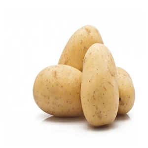 Potato