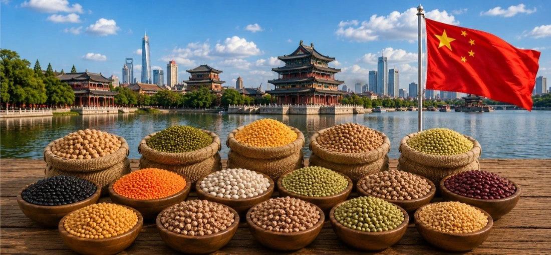 pulses-importers-in-china