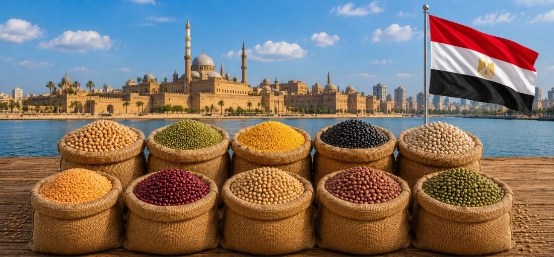 pulses-importers-in-egypt