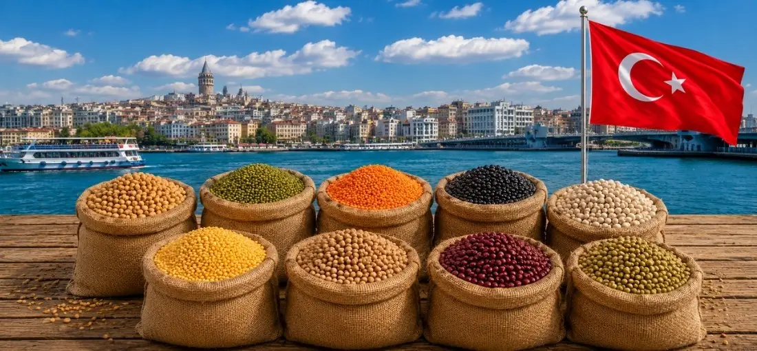 pulses-importers-in-turkey