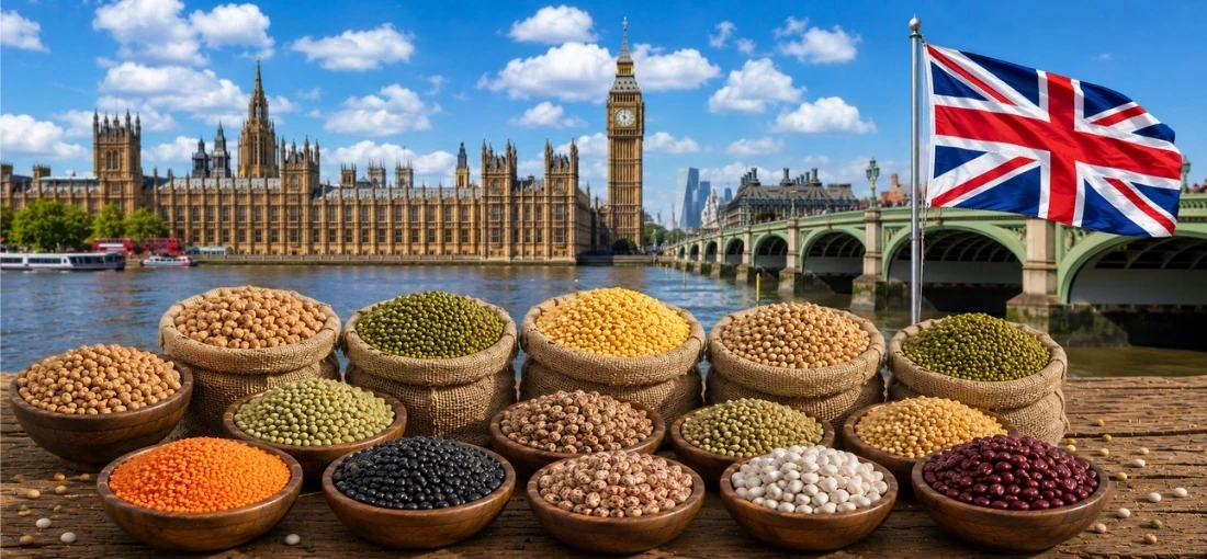 Pulses Importers in UK