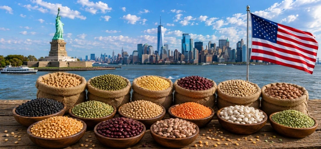 pulses-importers-in-usa