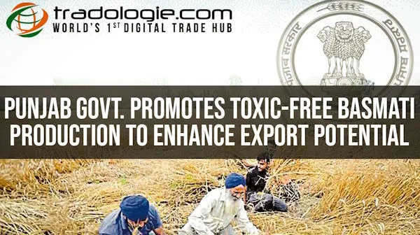 Punjab Govt. Promotes Toxic-Free Basmati