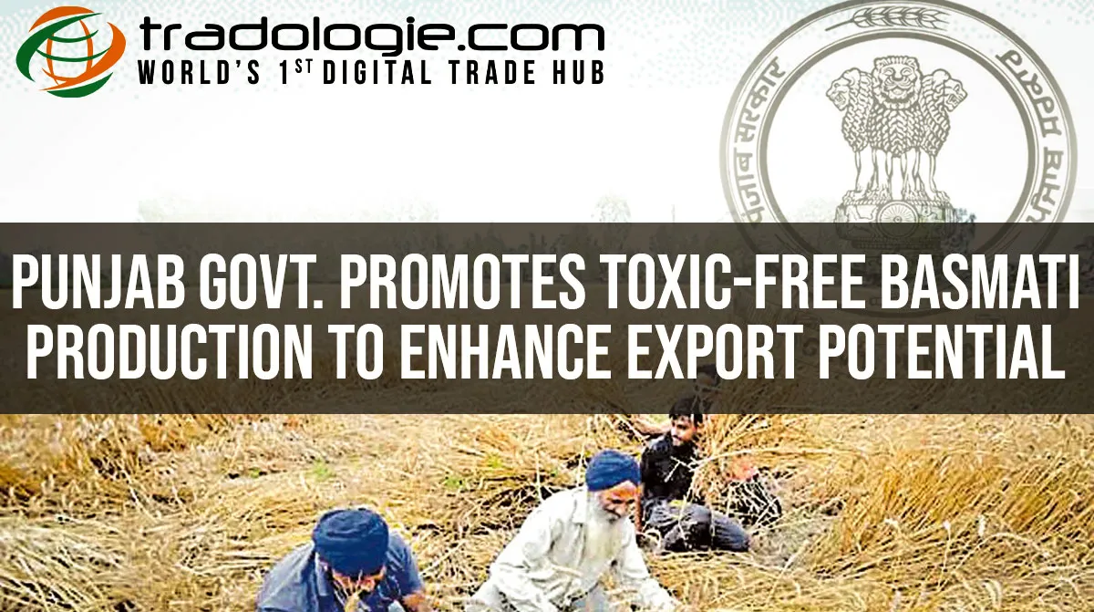 Punjab Govt. Promotes Toxic-Free Basmati Production To Enhance Export Potential