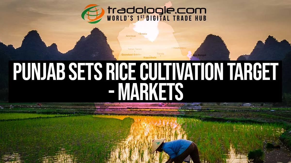 Punjab Sets Rice Cultivation Target - Markets