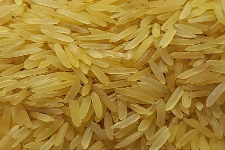 GOLD RICE