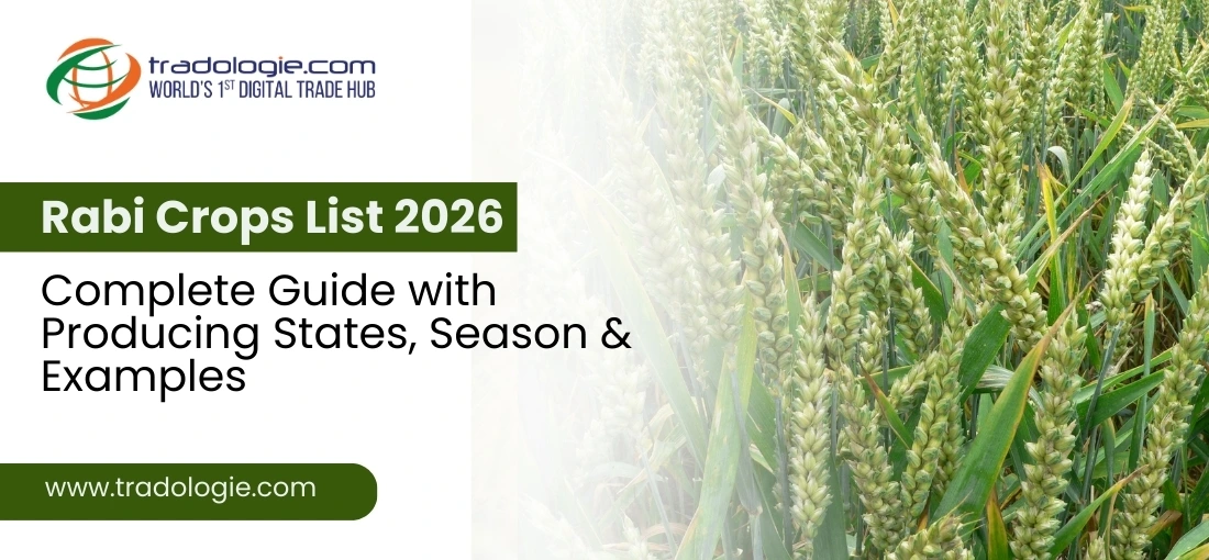 Rabi Crops List 2026 — Complete Guide with Producing States, Season and Examples