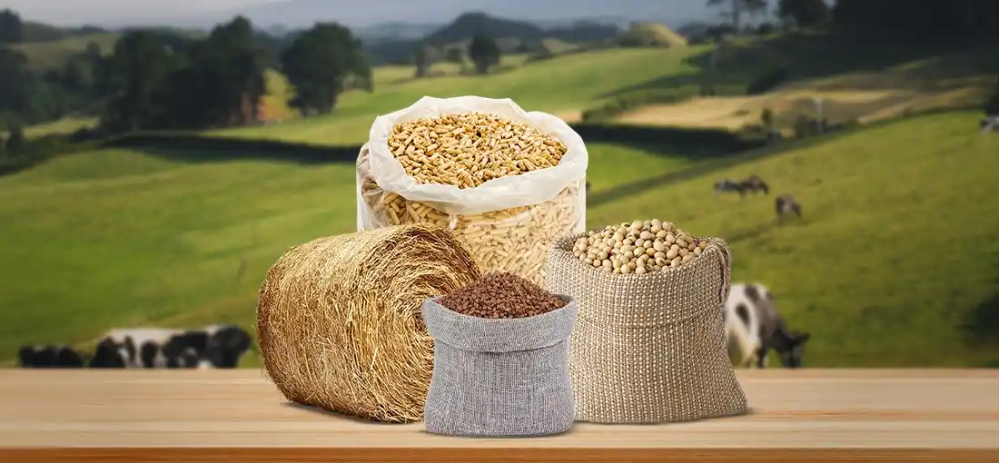 4S Group Export Import