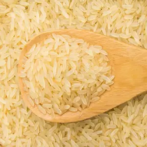 Raw 100% Broken Rice