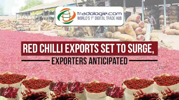 Red Chilli Exports Set to Surge, Exporters Anticipated