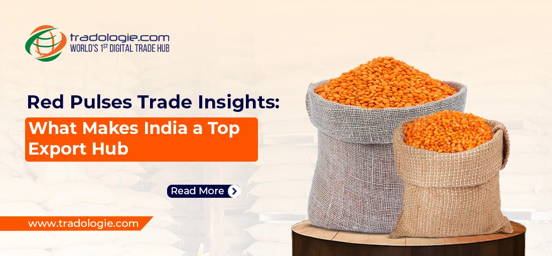 Red Pulses Trade Insights: What Makes India a Top Export Hub Red Pulses Trade Insights: What Makes India a Top Export Hub