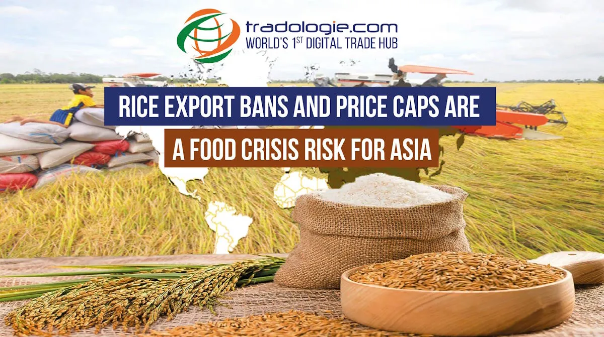 Rice Export Bans and Price Caps are a Food Crisis Risk For Asia