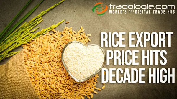 Rice Export Price Hits Decade High