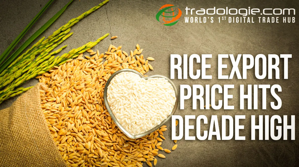Rice Export Price Hits Decade High Rice Export Price Hits Decade High